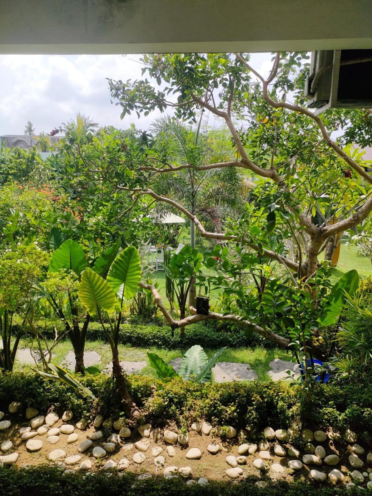 Villa Lotus 8 Canggu Buitenkant foto