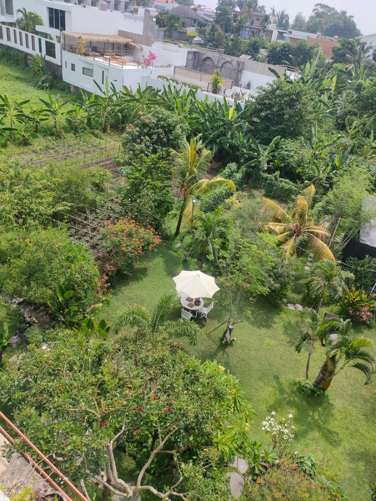Villa Lotus 8 Canggu Buitenkant foto