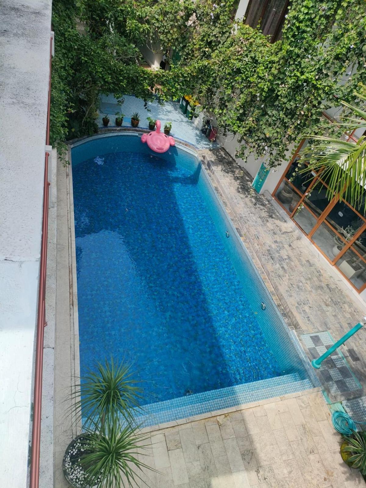 Villa Lotus 8 Canggu Buitenkant foto