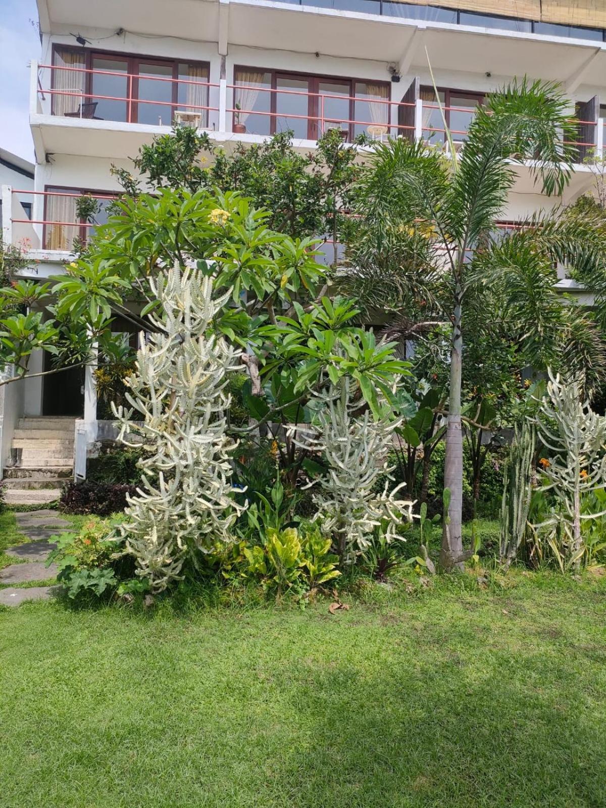 Villa Lotus 8 Canggu Buitenkant foto