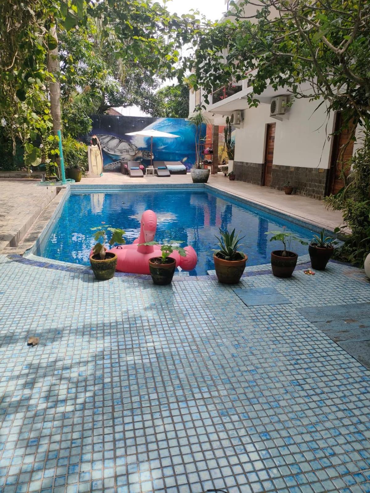 Villa Lotus 8 Canggu Buitenkant foto