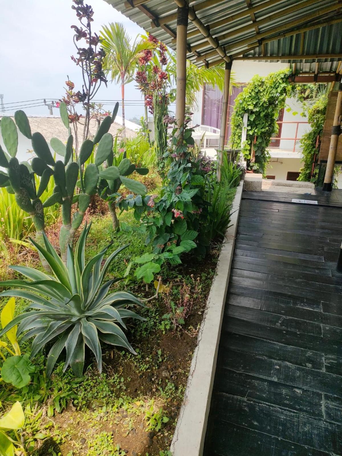 Villa Lotus 8 Canggu Buitenkant foto