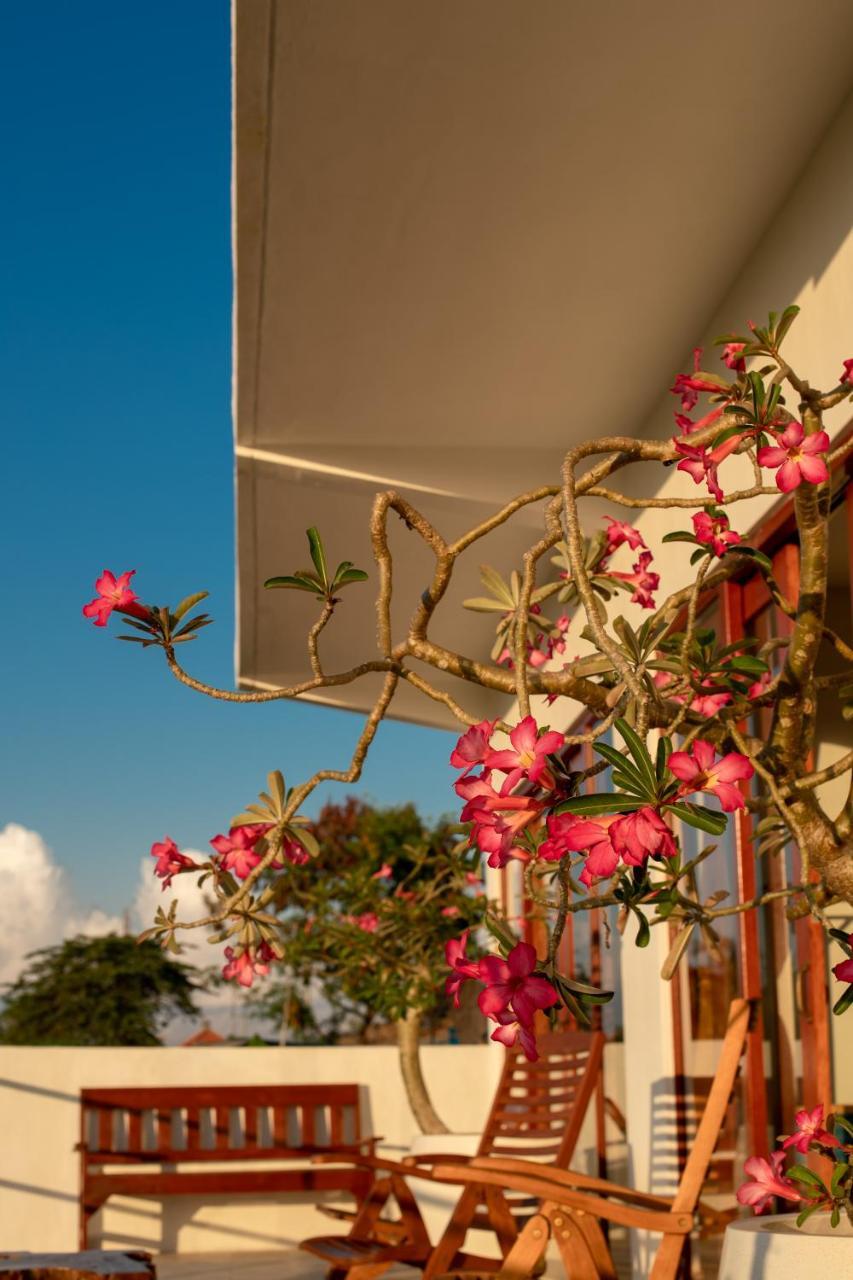 Villa Lotus 8 Canggu Buitenkant foto