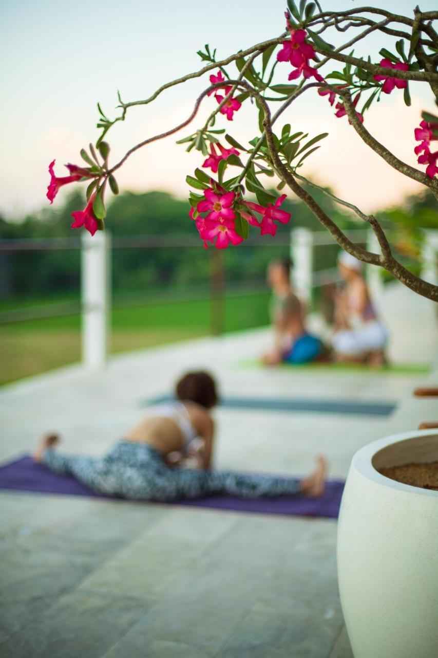 Villa Lotus 8 Canggu Buitenkant foto