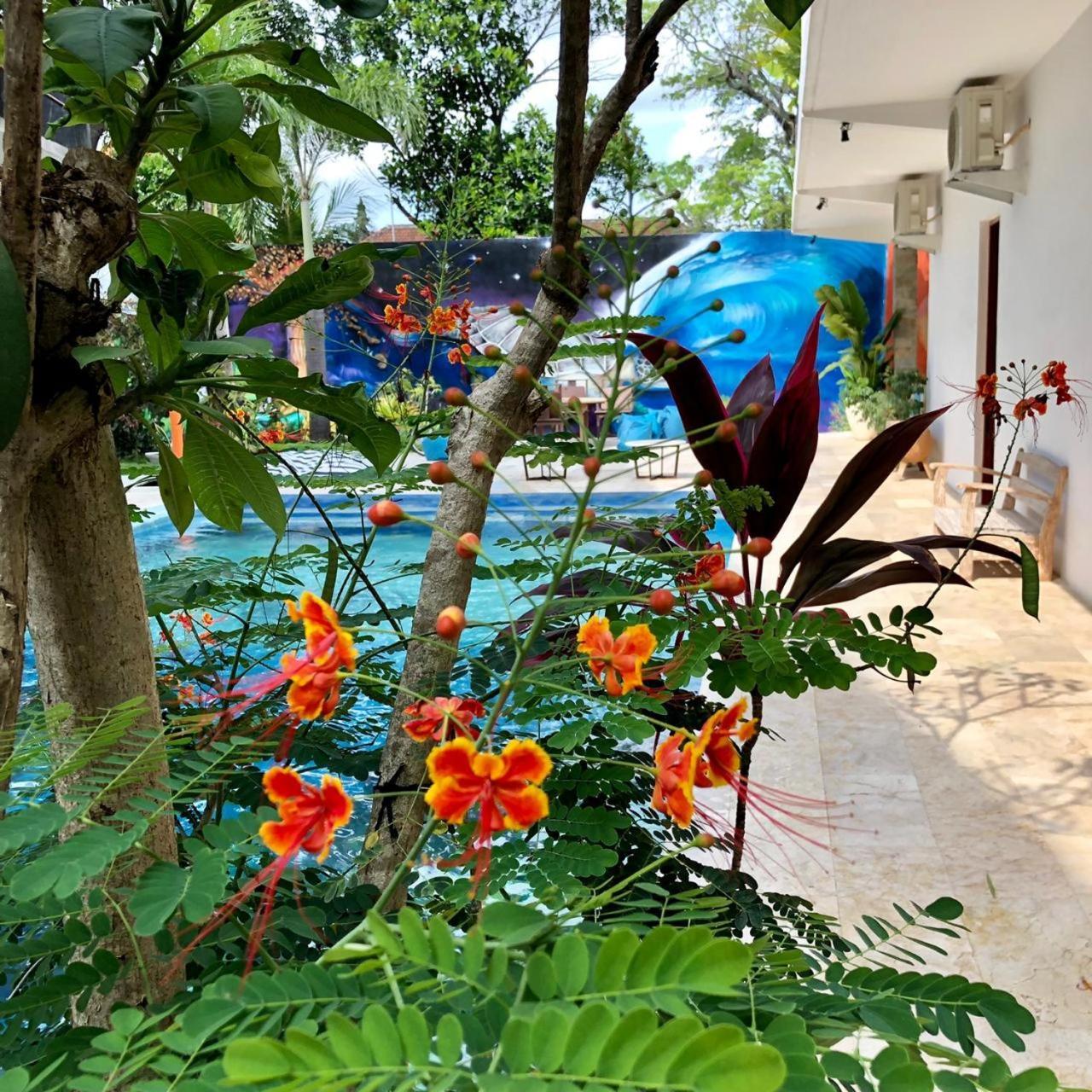 Villa Lotus 8 Canggu Buitenkant foto